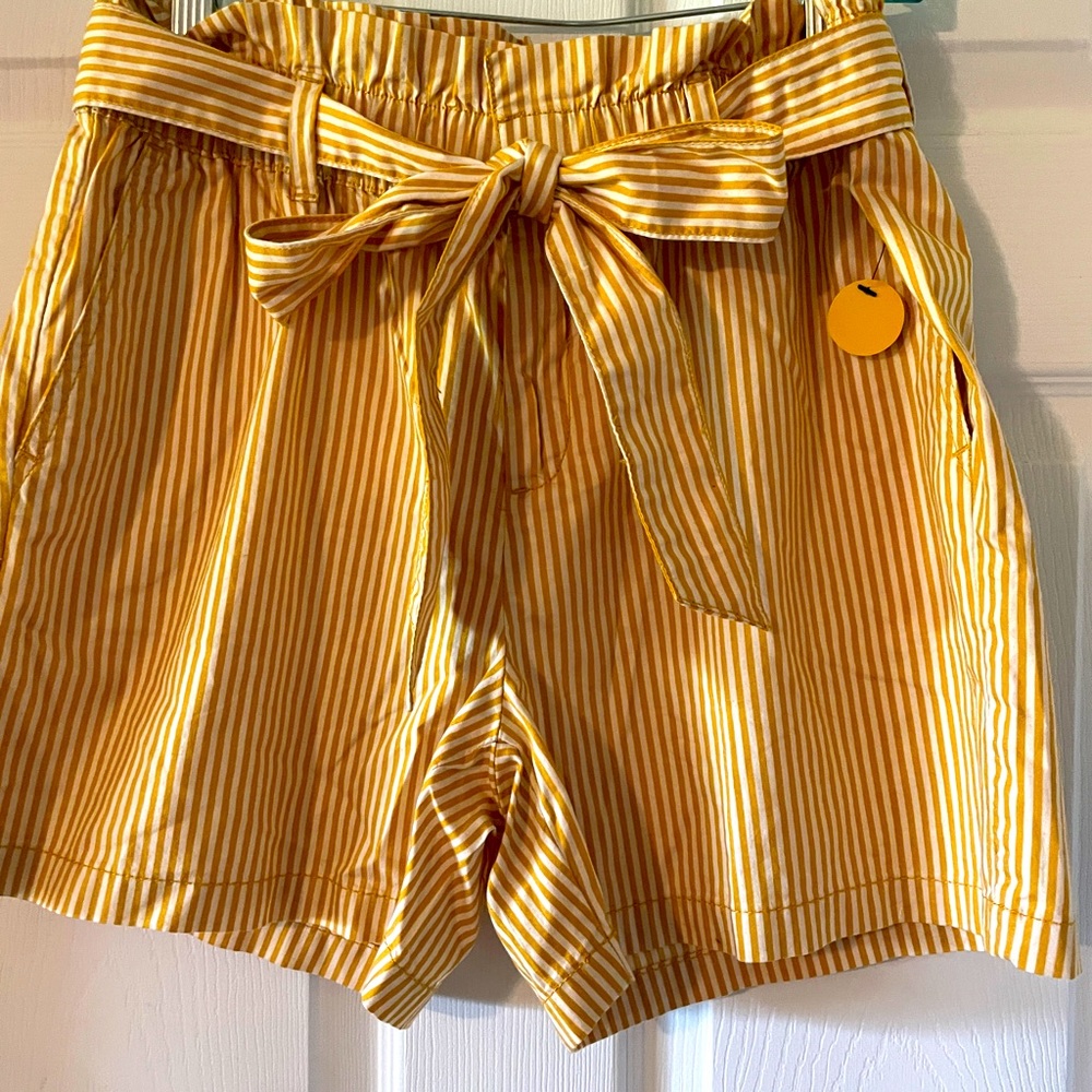 Liz Claiborne Shorts